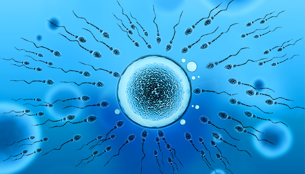 无创DNA：孕10周验血知胎儿健康