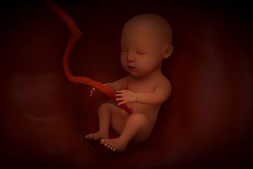 谢依霖宣布怀二胎，其孕期B超单上的数据多少才可做香港查胎儿性别