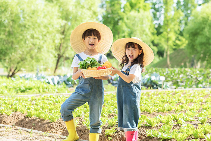 生男生女有什么秘诀